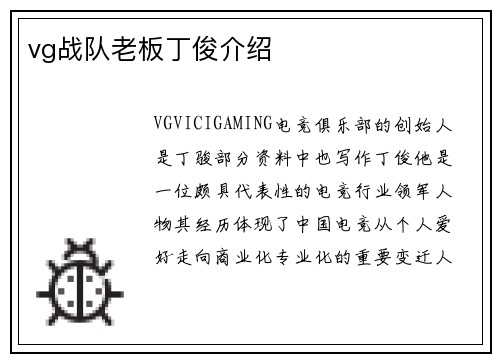vg战队老板丁俊介绍
